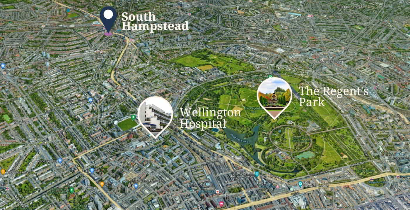 vicinity around South Hampstead