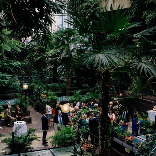 wedding at Barbican Conservatory