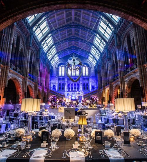 wedding reception at Natural History Museum