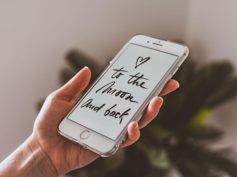 someone holding mobile app to see trip tips