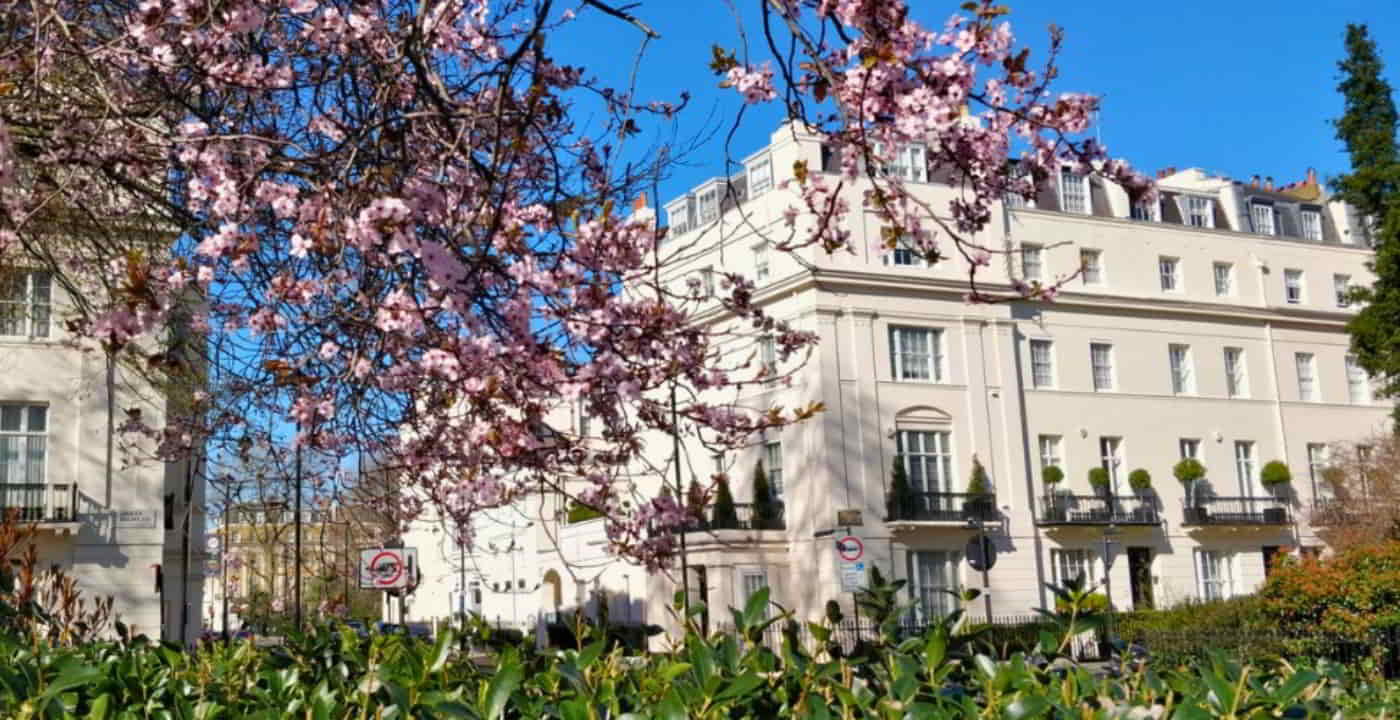 private guided tour Belgravia